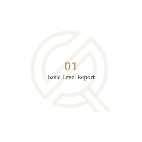 Basic Level Report